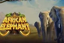 African Elephant (Pragmatic Play)