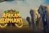 African Elephant (Pragmatic Play)