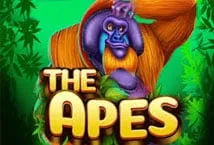 The Apes (KA Gaming)