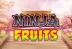Ninja Fruits (Play&#039;n GO)