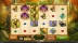 Forest Prince (Playtech)