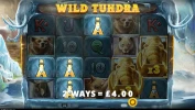 Wild Tundra