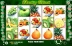 Fruit Slot (Pragmatic Play)