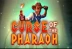 Curse of the Pharaoh (Evoplay)