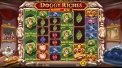 Doggy Riches Megaways
