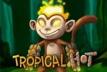 Tropical Hot (Fazi Company)