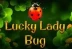 Lucky Lady Bug (1spin4win)