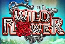 Wild Flower (Big Time Gaming)