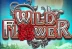 Wild Flower (Big Time Gaming)