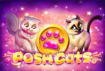 Posh Cats (Platipus Gaming)
