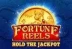 Fortune Reels (Wazdan)
