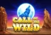 Call of the Wild (Inspired Gaming)