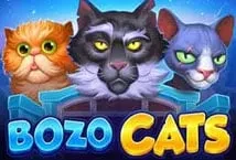 Bozo Cats (Playson)