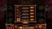 Black Horse Deluxe