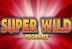 Super Wild Megaways (StakeLogic)