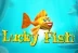 Lucky Fish (Wazdan)