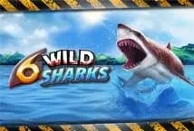 6 Wild Sharks (4ThePlayer)