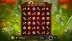 Cash Quest (Hacksaw Gaming)