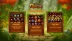 Cash Quest (Hacksaw Gaming)