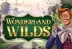 Wonderland Wilds (StakeLogic)