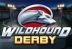 Wildhound Derby (Play&#039;n GO)