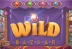 Wild Bazaar (NetEnt)